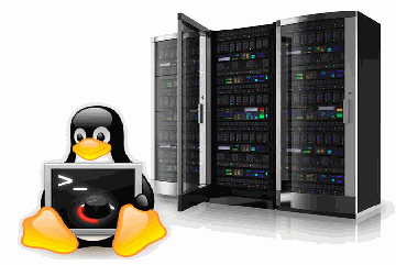 Odoo - Prueba 1 a tres columnas